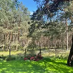Im Wald, Am Briesener Neu Zauche