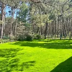 펜션 Im Wald, Am Briesener Neu Zauche