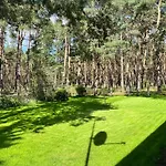 Im Wald, Am Briesener *