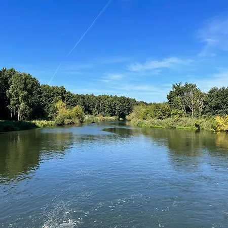 Im Wald, Am Briesener Semesterbostad
