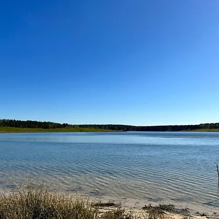 Im Wald, Am Briesener *
