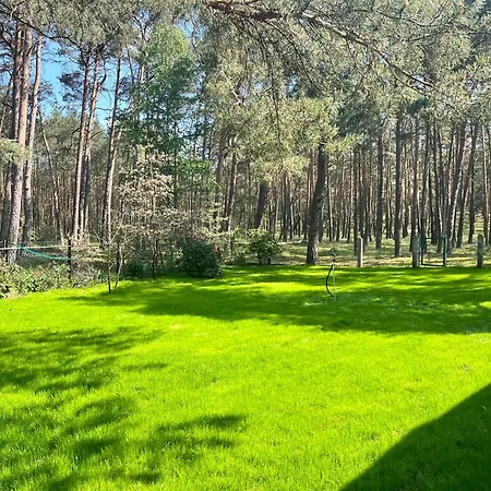 Dom wakacyjny Im Wald, Am Briesener Neu Zauche
