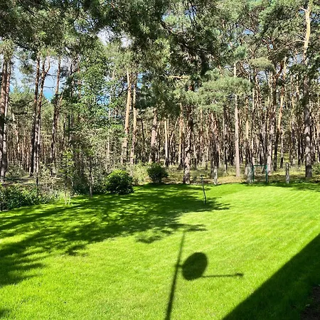 Im Wald, Am Briesener *