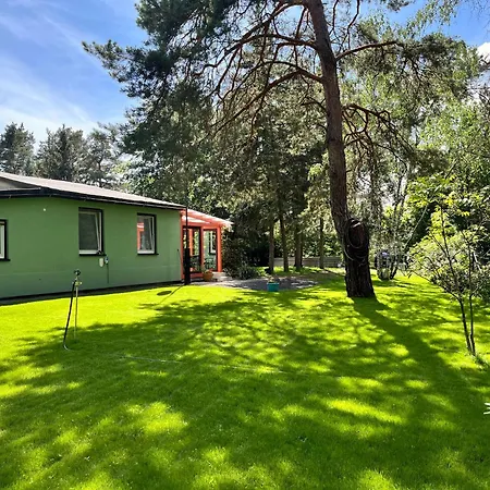 Im Wald, Am Briesener