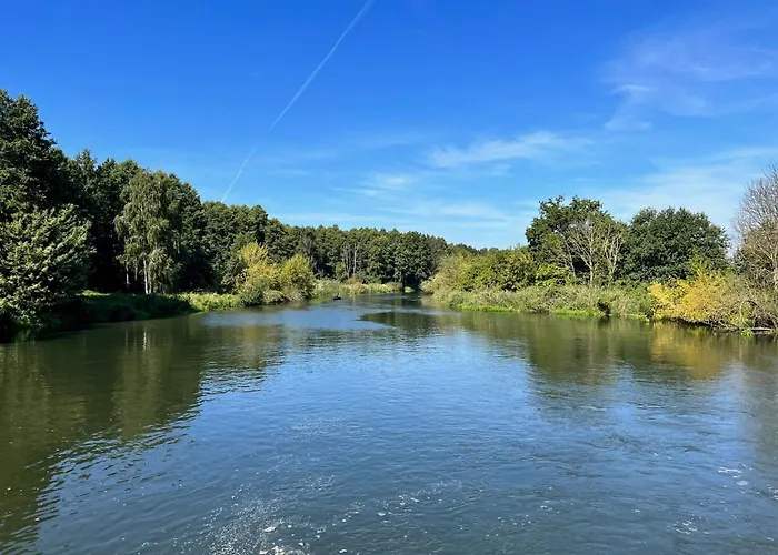 Im Wald, Am Briesener Dom wakacyjny
