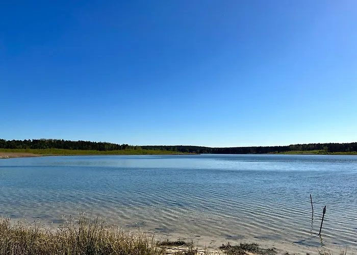 Im Wald, Am Briesener *