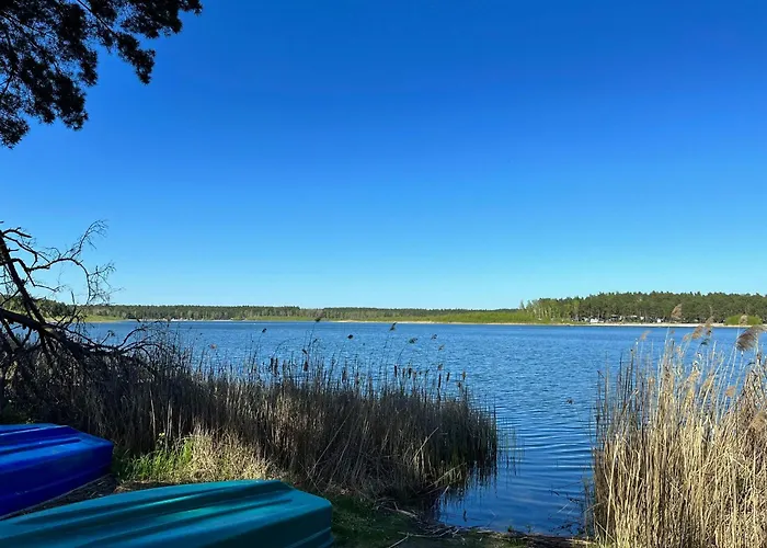 Im Wald, Am Briesener * Neu Zauche