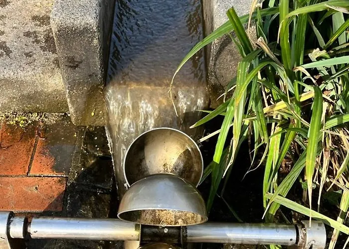 Im Wald, Am Briesener Semesterbostad *