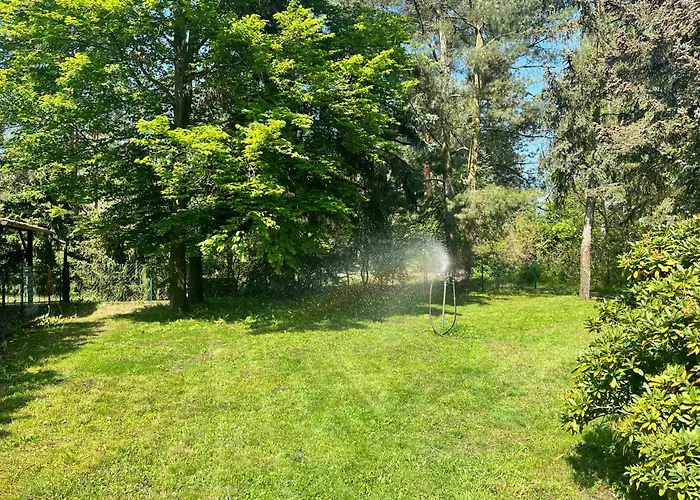 Im Wald, Am Briesener