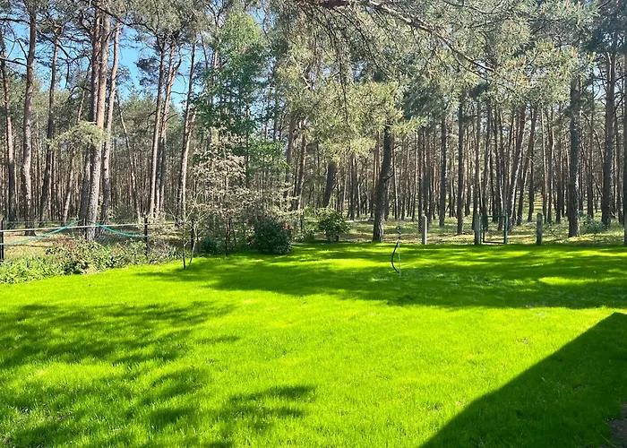 Semesterbostad Im Wald, Am Briesener Neu Zauche