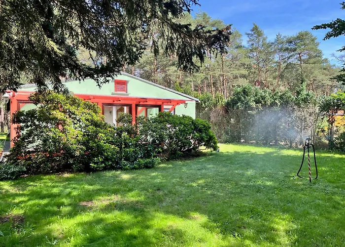 Im Wald, Am Briesener Semesterbostad *