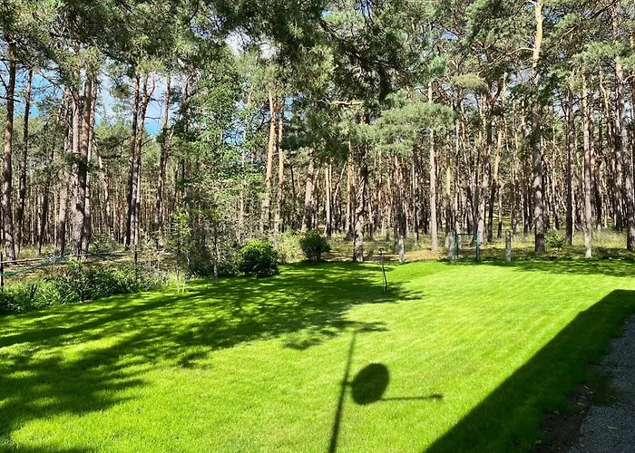 Im Wald, Am Briesener *