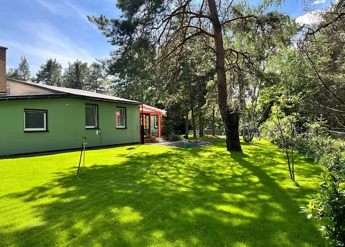 Im Wald, Am Briesener